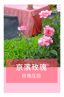 京滨玫瑰庄园景区小程序代运营
