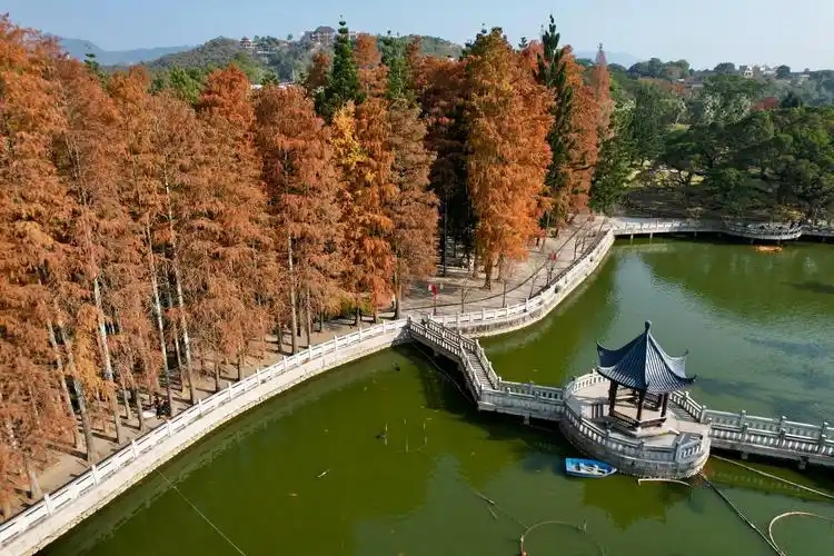 福州国家森林公园智慧升级离不开智能导览系统，小泥人方案适配度拉满