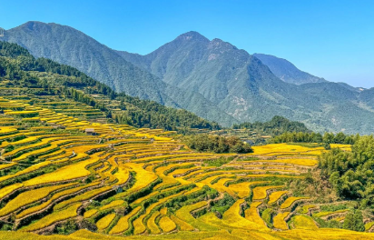 云和梯田景区智慧票务系统全解析：功能、价格与选型指南