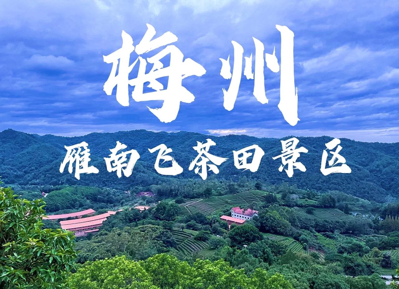 梅州雁南飞茶田景区票务系统升级：小泥人智慧解决方案赋能茶旅融合