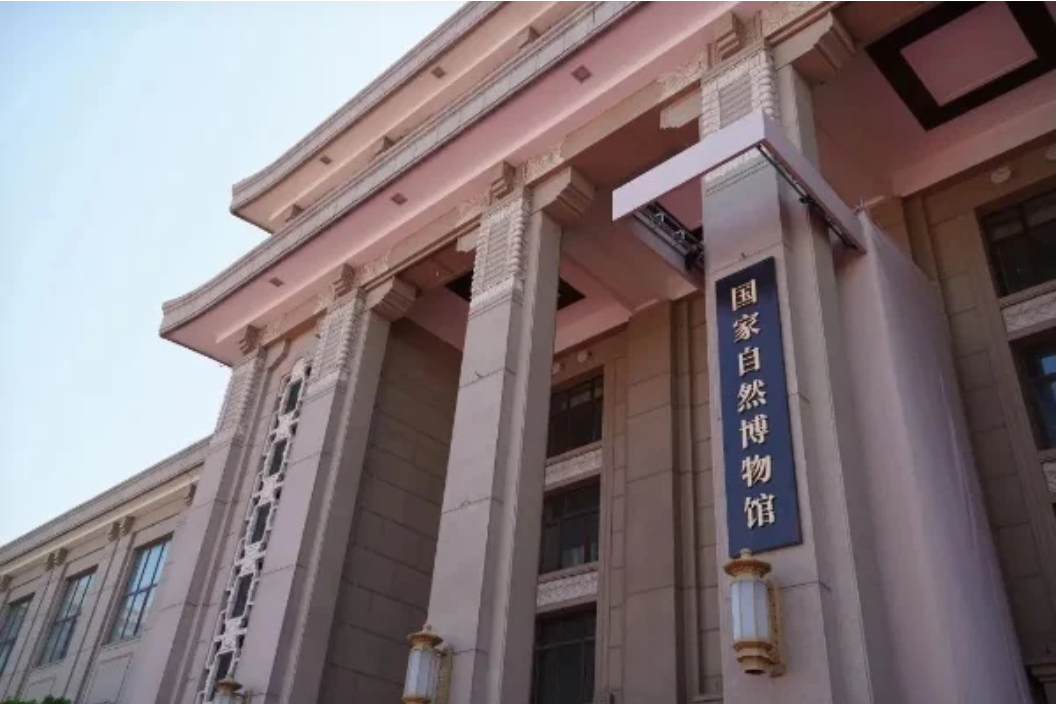 小泥人为国家自然博物馆量身打造有温度的智慧预约系统