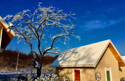 河南洛阳白云小镇滑雪场一卡通综合票务系统解决方案