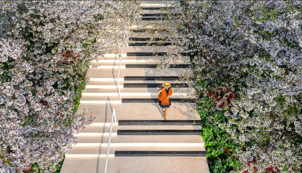 成都漫花庄园赏花季票务系统怎么做, 小泥人二消联动优势